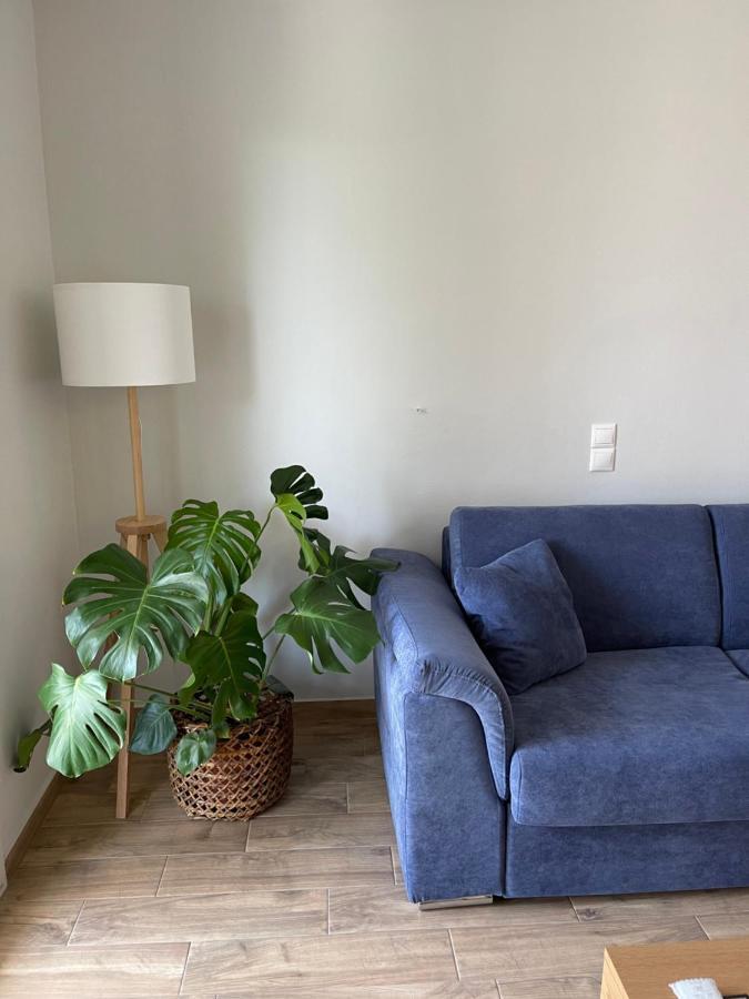 Cosy Apartment With Sea View Close To The Beach Nikiana Exterior photo